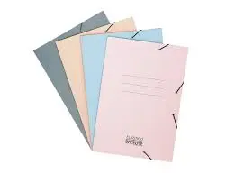 [CARPANBE] Carpeta PANCROME con elástico Nº 307  Beige